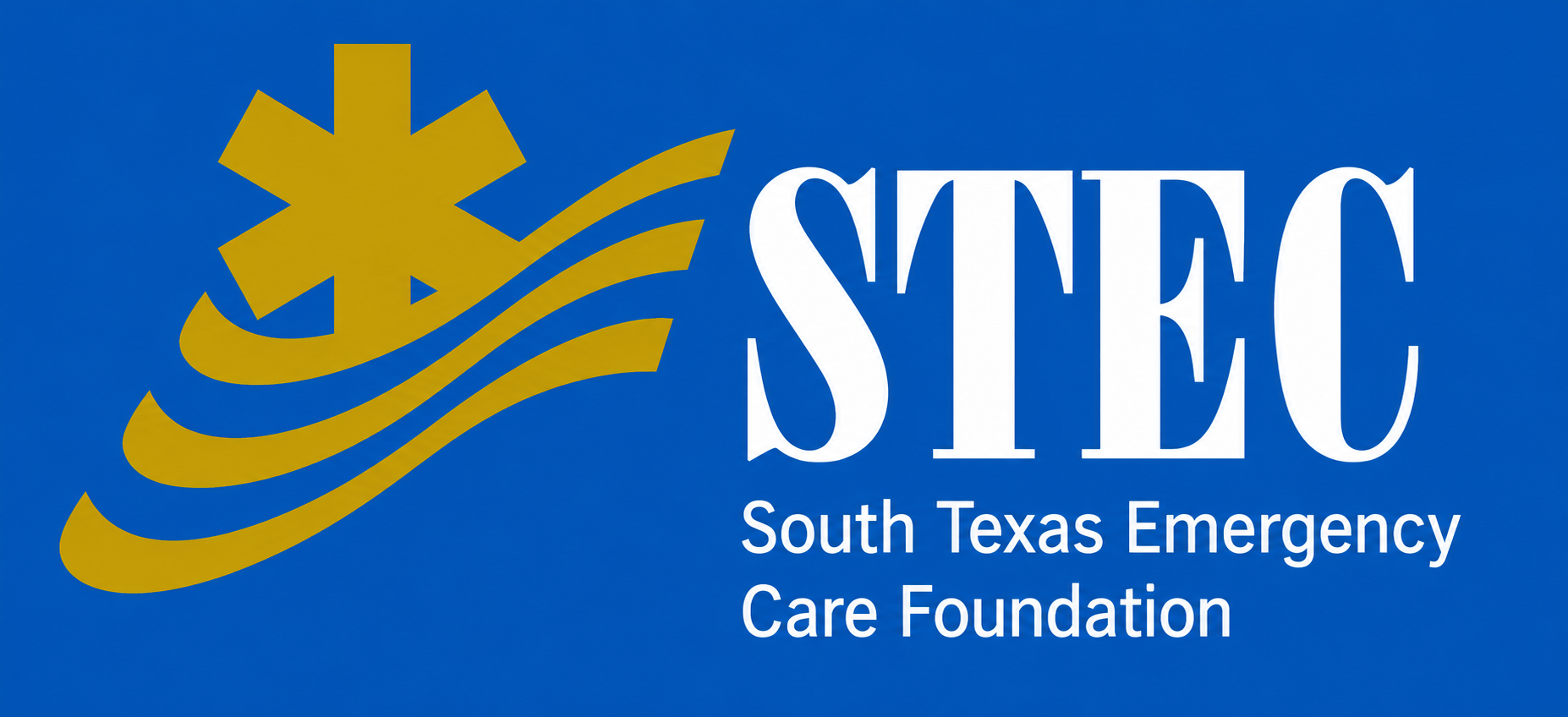 STEC Logo 2026